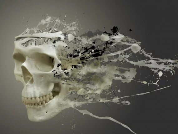 3D White Skull (click to view)