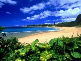 Haena Beach, Kauai, Hawaii - - ID 4537.jpg