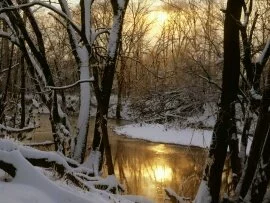 Harpeth River Winter Sunrise, Wil.jpg (click to view)