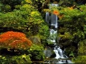 Japanese Garden, Portland, Oregon - - .jpg