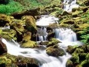 Lower Proxy Falls, Three Sisters Wilderness, Wil.jpg