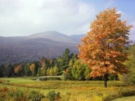 Mount Mansfield, Vermont - - ID 34904.jpg