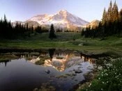 Mount Rainier National Park, Washington - 1600x1.jpg