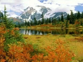Mount Shuksan, North Cascades, Washington - 1600.jpg