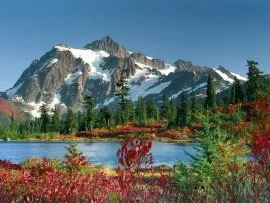 Picture Perfect, Snoqualmie National Forest, Was.jpg (click to view)