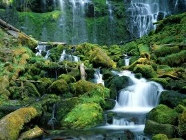 Proxy Falls, Cascade Range, Oregon - -.jpg (click to view)
