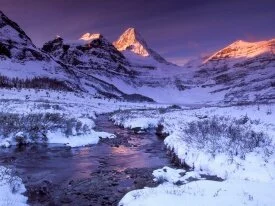 Pure Snow and Alpine Glow, Mount .jpg