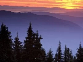 Skyline Divide, Near Mount Baker, Washington - 1.jpg (click to view)
