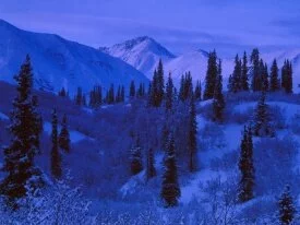 Snow-Covered Alaskan Range - 1600.jpg