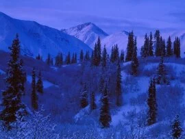 Snow-Covered Alaskan Range - 1600.jpg (click to view)