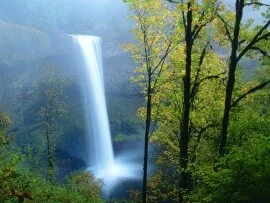 South Falls, Silver Falls State Park, Oregon - 1.jpg (click to view)