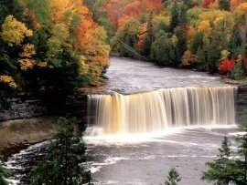 Tahquamenon Falls, Michigan - - ID 267.jpg (click to view)