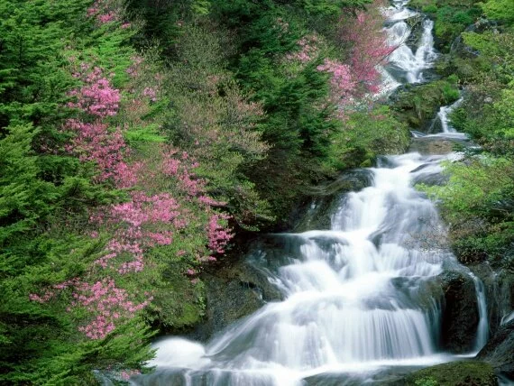 Tochigi Prefecture, Nikko, Japan - - I.jpg (click to view)