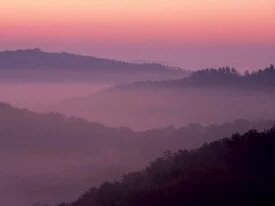 Violet Sunrise, Daniel Boone National Forest, Ke.jpg