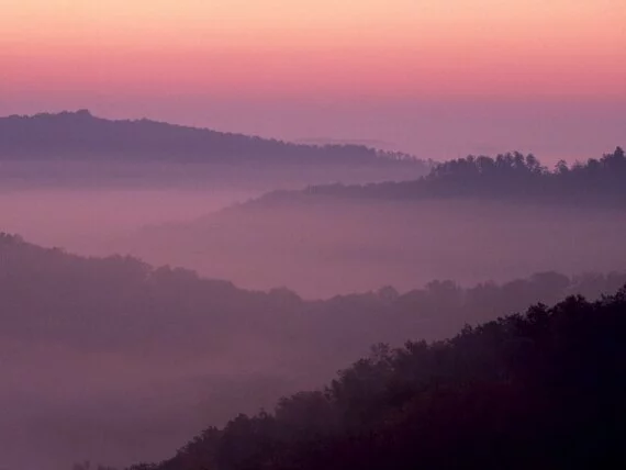 Violet Sunrise, Daniel Boone National Forest, Ke.jpg (click to view)