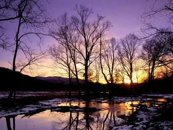 Winter Sunset, Cades Cove, Great .jpg (click to view)