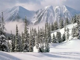 Winter Wonderland, British Columb.jpg
