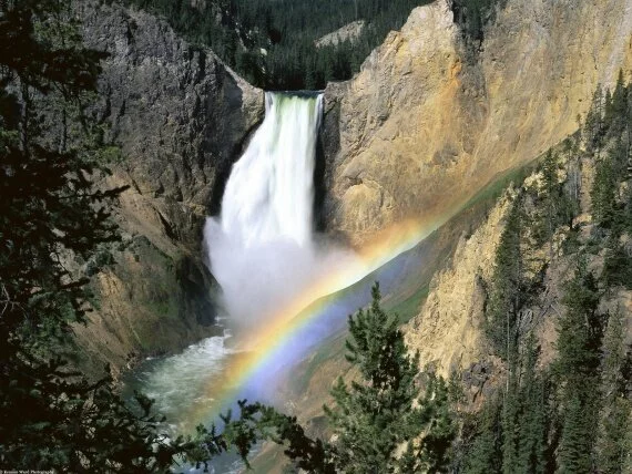Yellowstone Falls, Yellowstone National Park, Wy.jpg (click to view)