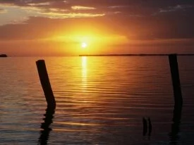 A New Day Begins, Everglades National Park, Flor.jpg