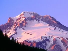 Alpenglow on the Slopes of Mount Hood, Oregon - .jpg (click to view)