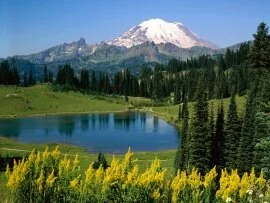 Alpine Scenic, Washington - - ID 31896.jpg (click to view)