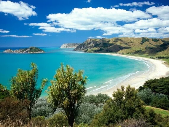 Anaura Bay, Gisborne, New Zealand - - .jpg (click to view)