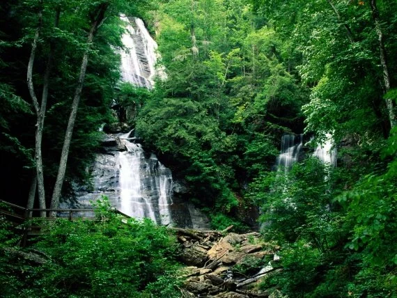 Anna Ruby Falls, Chattahoochee National Forest, .jpg (click to view)