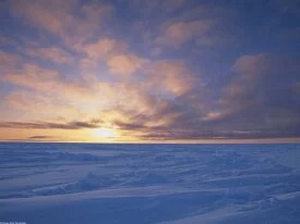 Arctic Ice Pack at Sunset, Canada - - .jpg