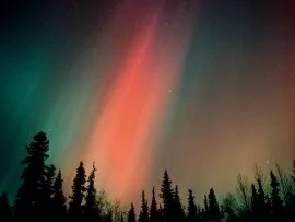 Aurora Borealis, Northern Lights, Alaska - 1600x.jpg (click to view)