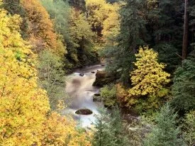 Autumn Color, Coquille River, Oregon - .jpg