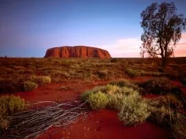 Ayers Rock, Northern Territory, Australia - 1600.jpg (click to view)