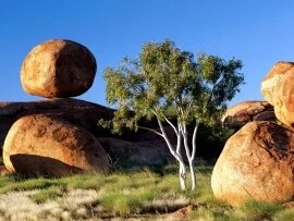 Balancing Boulder, Northern Territory Australia .jpg (click to view)