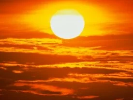 Blazing Sun - - ID 41250.jpg
