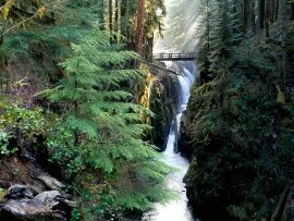 Bridge Over Sol Duc Falls, Olympic National Park.jpg (click to view)