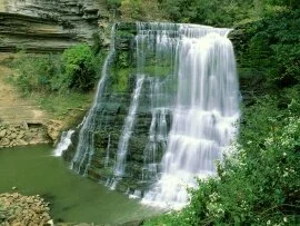 Burgess Falls State Natural Area, Sparta, Tennes.jpg (click to view)