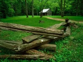 Carter Shields Cabin, Cades Cove, Great Smoky Mo.jpg (click to view)