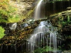 Cathedral Falls, West Virginia - - ID .jpg (click to view)