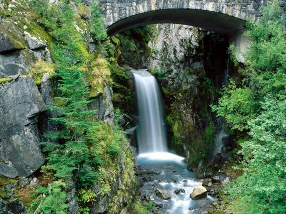 Christine Falls, Mount Rainier National Park, Wa.jpg (click to view)
