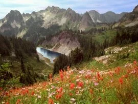 Cliff Lake and the Tatoosh Range, Mount Rainier .jpg (click to view)