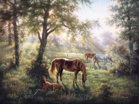 Countryside Horses