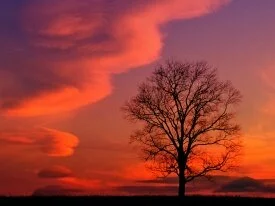 Crimson Twilight, Kentucky - - ID 4467.jpg