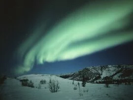 Dancing Northern Lights, Alaska - - ID.jpg (click to view)