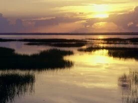Dawn Breaking, St. Joseph Peninsula, Florida - 1.jpg