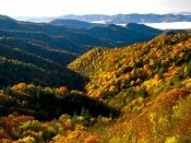 Deep Creek Valley, Great Smoky Mountains Nationa.jpg