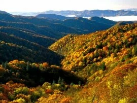 Deep Creek Valley, Great Smoky Mountains Nationa.jpg (click to view)