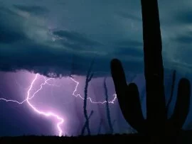 Desert Storm - - ID 23779.jpg (click to view)