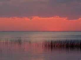 Dreamscape, Florida - - ID 25747.jpg