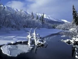 Eagle River, Alaska - -.jpg (click to view)