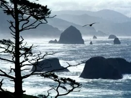 Ecola Point, Oregon Coast - - ID 36769.jpg (click to view)