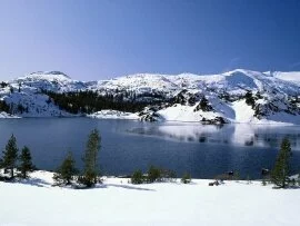Emerging Winter, Yosemite Nationa.jpg (click to view)